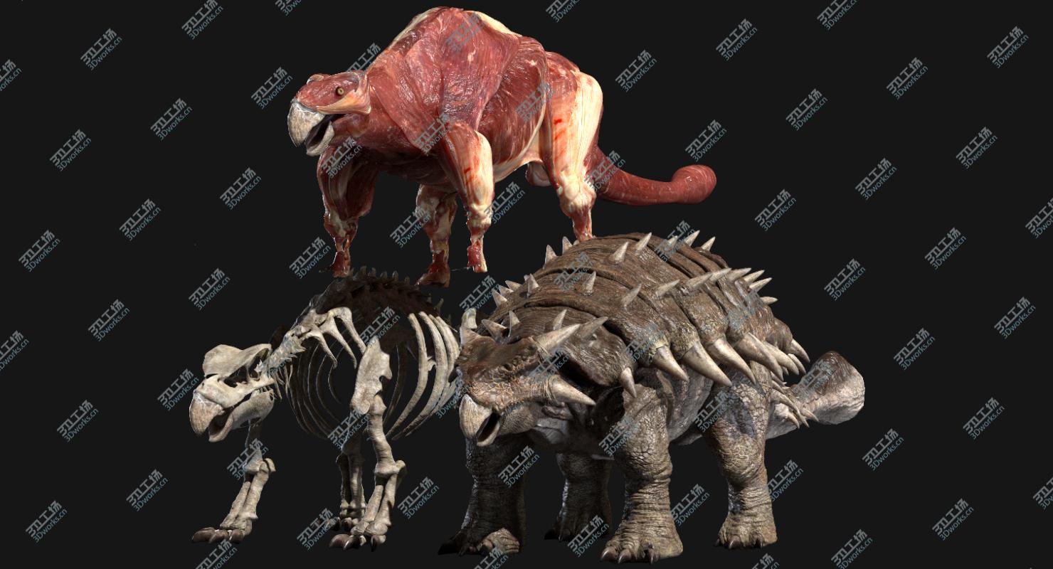 images/goods_img/20210319/Ankylosaurus Anatomy 3D model/2.jpg
